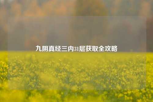 九阴真经三内31层获取全攻略