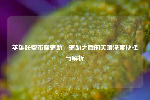 英雄联盟布隆辅助,辅助之盾的天赋深度抉择与解析
