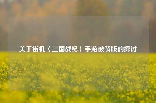关于街机〈三国战纪〉手游破解版的探讨
