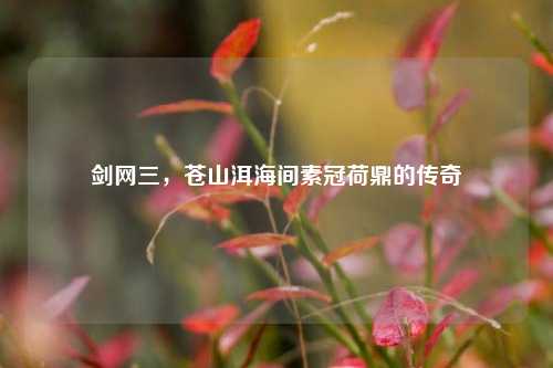 剑网三,苍山洱海间素冠荷鼎的传奇