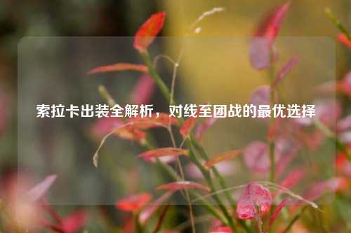 索拉卡出装全解析,对线至团战的最优选择
