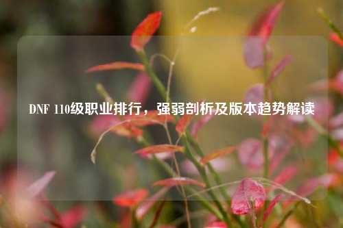 DNF 110级职业排行,强弱剖析及版本趋势解读