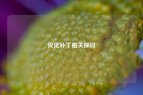 汉化补丁相关探讨