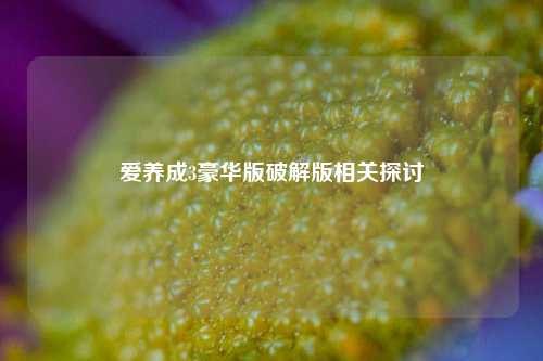 爱养成3豪华版破解版相关探讨