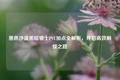 黑色沙漠黑暗骑士PVE加点全解析,开启高效刷怪之路