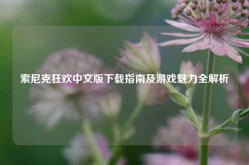 索尼克狂欢中文版下载指南及游戏魅力全解析