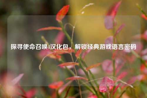 探寻使命召唤4汉化包,解锁经典游戏语言密码