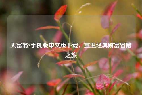 大富翁2手机版中文版下载,重温经典财富冒险之旅