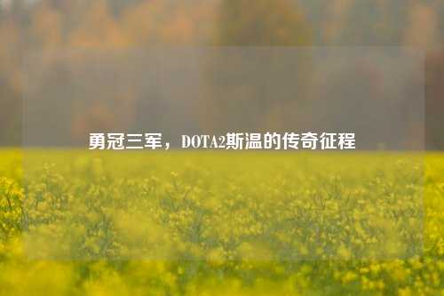 勇冠三军,DOTA2斯温的传奇征程
