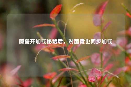 魔兽开加钱秘籍后,对面竟也同步加钱