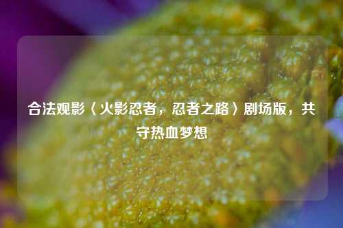 合法观影〈火影忍者,忍者之路〉剧场版,共守热血梦想