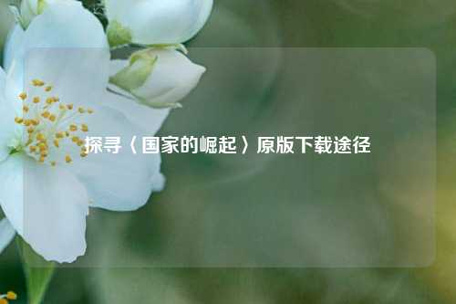 探寻〈国家的崛起〉原版下载途径