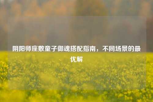 阴阳师座敷童子御魂搭配指南,不同场景的最优解
