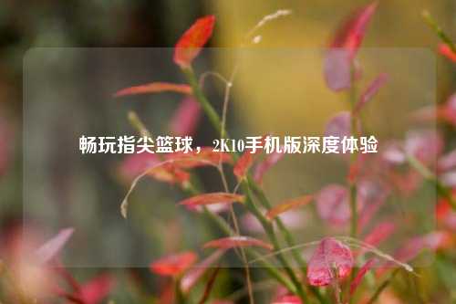 畅玩指尖篮球,2K10手机版深度体验
