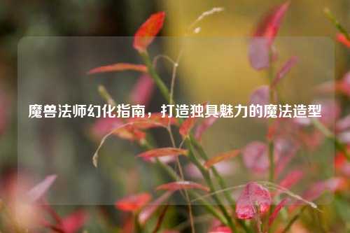 魔兽法师幻化指南,打造独具魅力的魔法造型