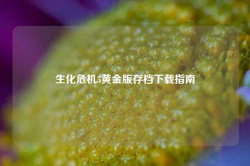 生化危机5黄金版存档下载指南