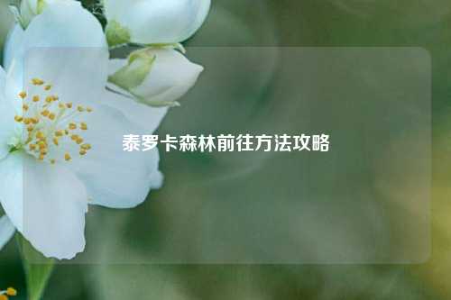 泰罗卡森林前往方法攻略