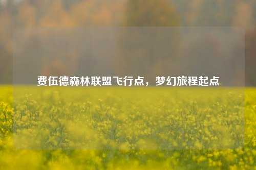 费伍德森林联盟飞行点,梦幻旅程起点