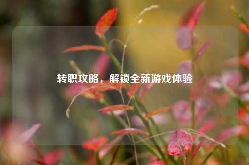 转职攻略,解锁全新游戏体验
