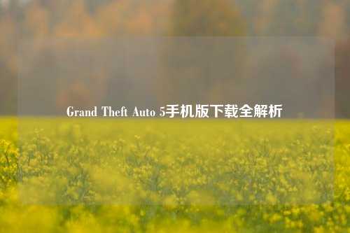 Grand Theft Auto 5手机版下载全解析