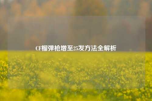 CF榴弹枪增至25发方法全解析