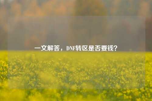 一文解答，DNF转区是否要钱？