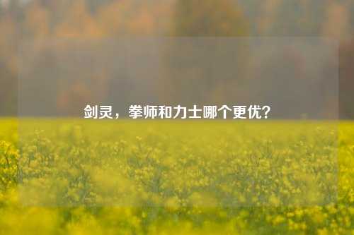 剑灵，拳师和力士哪个更优？