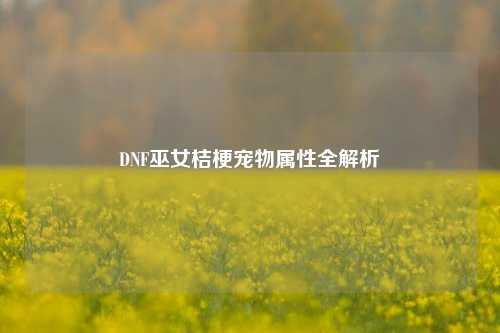 DNF巫女桔梗宠物属性全解析