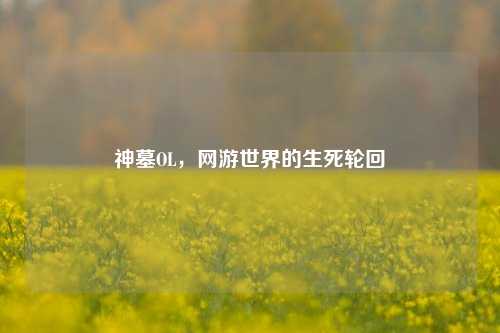 神墓OL，网游世界的生死轮回