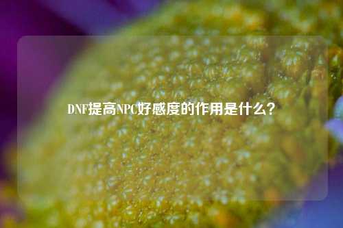 DNF提高NPC好感度的作用是什么？