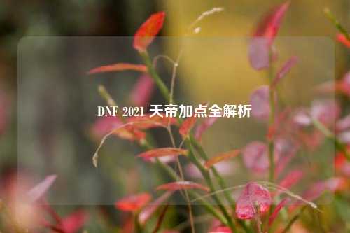 DNF 2021 天帝加点全解析