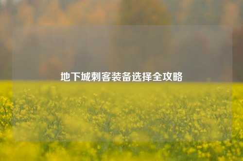 地下城刺客装备选择全攻略
