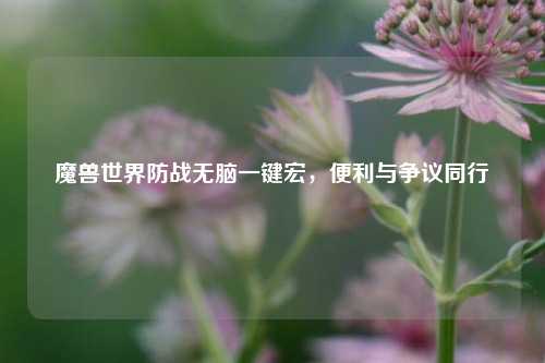 魔兽世界防战无脑一键宏，便利与争议同行