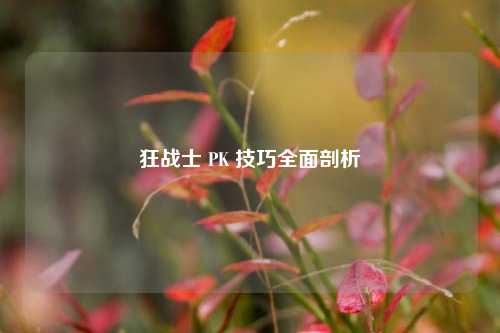 狂战士 PK 技巧全面剖析
