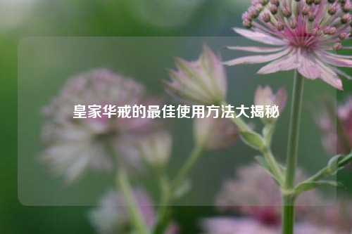 皇家华戒的最佳使用方法大揭秘