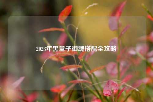 2023年黑童子御魂搭配全攻略