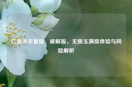 亡灵杀手夏侯惇破解版,无限玉满级体验与风险解析