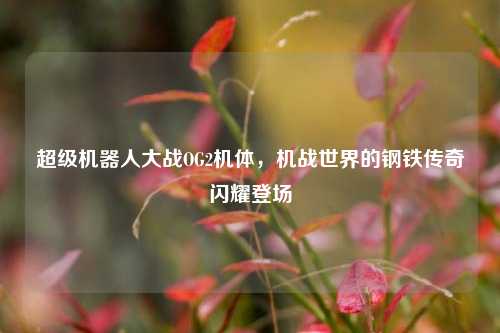 超级机器人大战OG2机体,机战世界的钢铁传奇闪耀登场