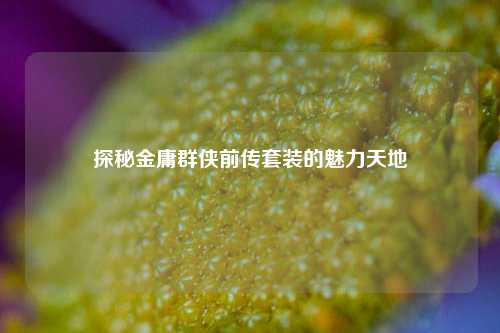 探秘金庸群侠前传套装的魅力天地