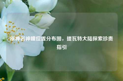原神岩神瞳位置分布图,提瓦特大陆探索珍贵指引