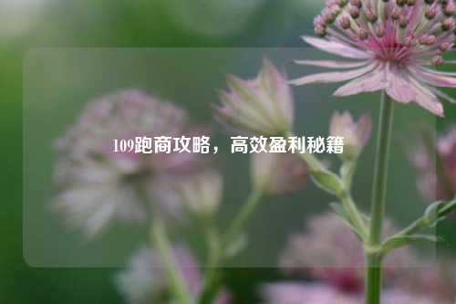 109跑商攻略,高效盈利秘籍