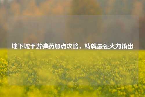 地下城手游弹药加点攻略,铸就最强火力输出