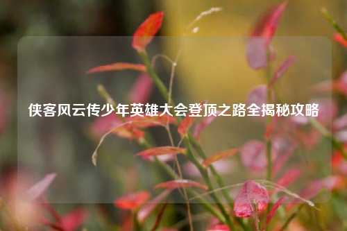 侠客风云传少年英雄大会登顶之路全揭秘攻略