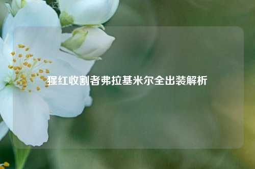 猩红收割者弗拉基米尔全出装解析