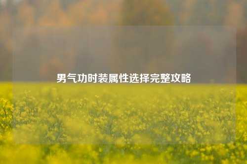 男气功时装属性选择完整攻略