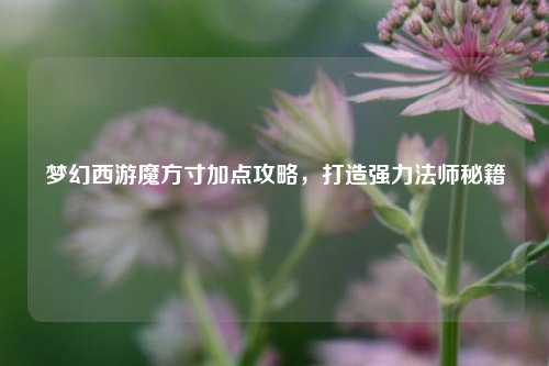 梦幻西游魔方寸加点攻略,打造强力法师秘籍