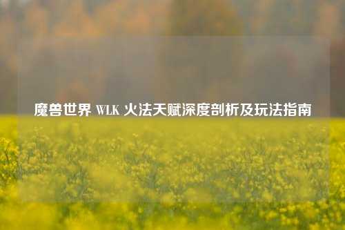 魔兽世界 WLK 火法天赋深度剖析及玩法指南