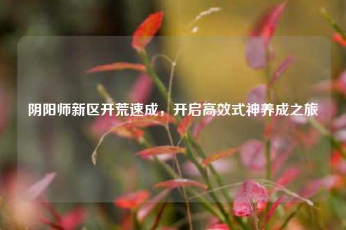 阴阳师新区开荒速成,开启高效式神养成之旅