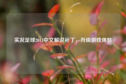 实况足球2011中文解说补丁，升级游戏体验