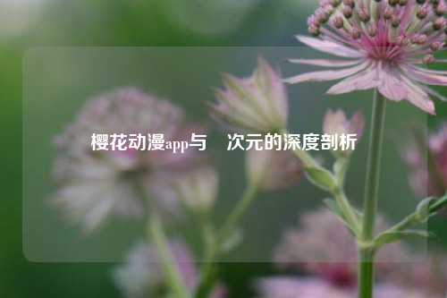 樱花动漫app与囧次元的深度剖析